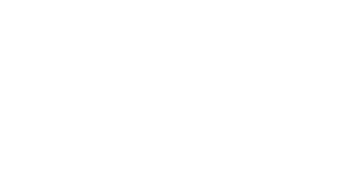DataStag